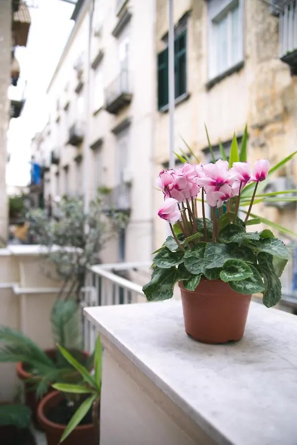 La Casa Del Nespolo, 2 Terrazzi E 2 Bagni In Centro Apartment Naples 0*,  Italy