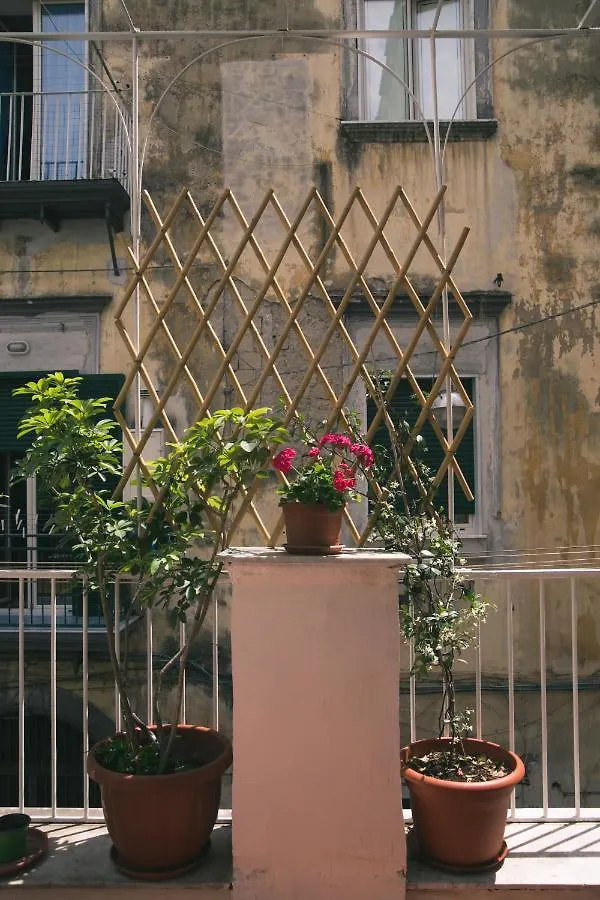 La Casa Del Nespolo, 2 Terrazzi E 2 Bagni In Centro Apartment Naples Italy